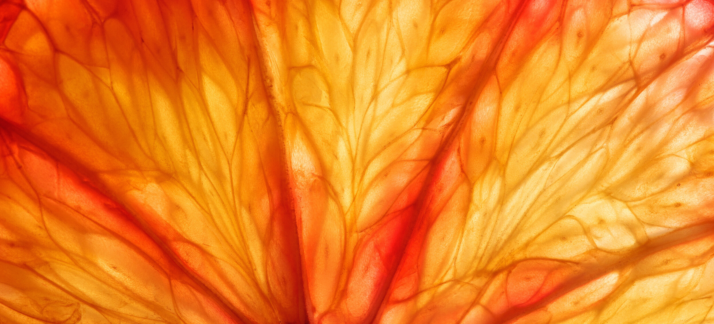 Vitamins in Fruits: The Key to a Healthy Life